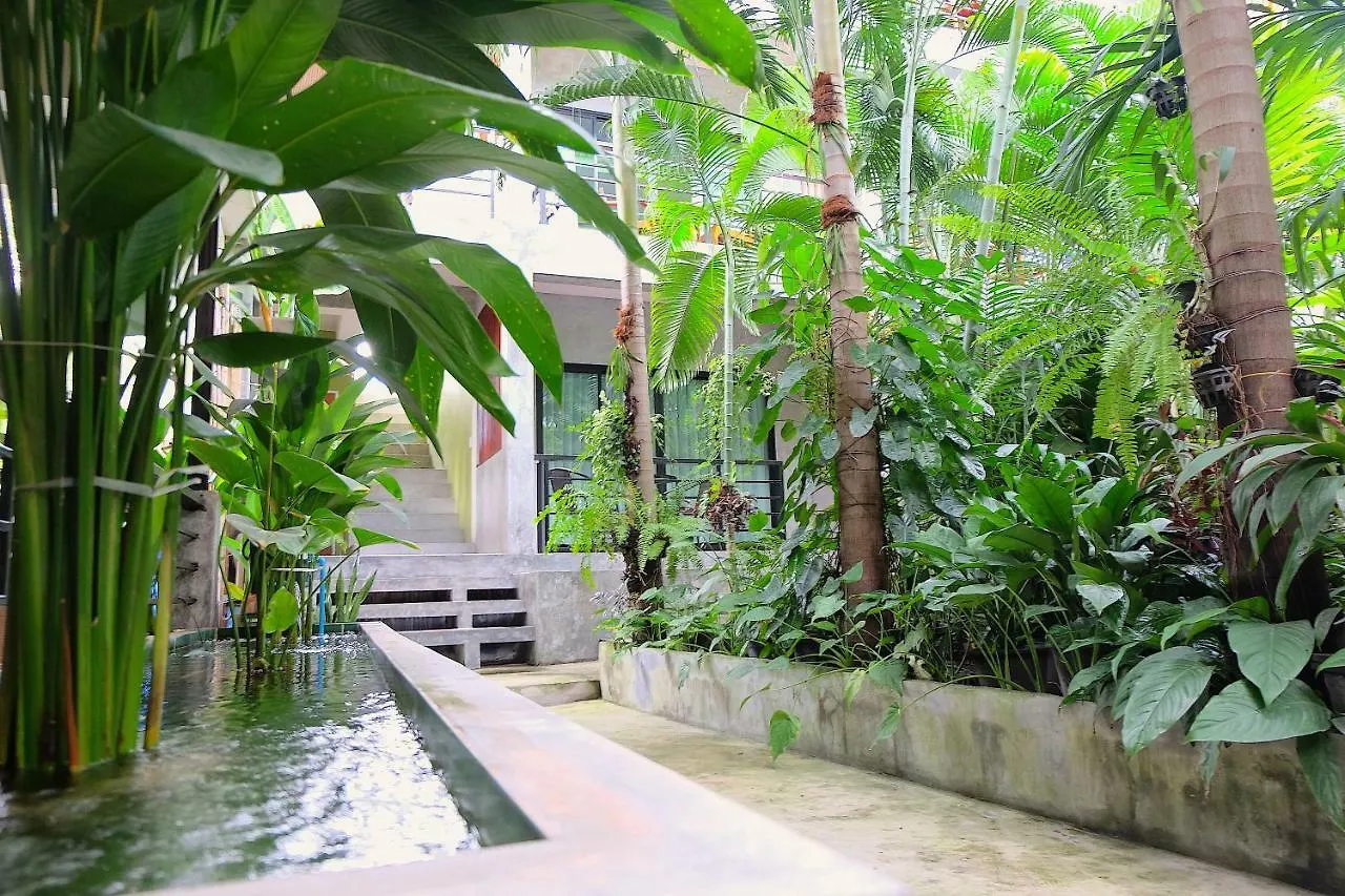 **  Hotel Blue Wave House à Koh Tao Thaïlande